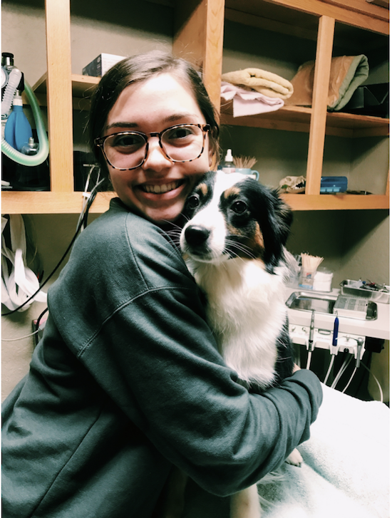 Honors student Aubry Hensley helped care for some adorable patients during her summer pre-veterinary medicine internship