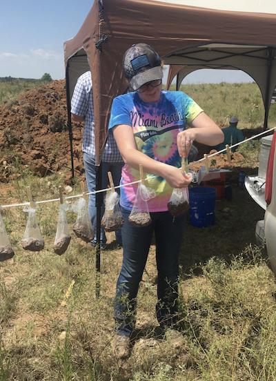 Makenna Paniel was assigned to the Cheyenne, OK USDA Farm Service Center for her Natural Resource Conservation Service (NRCS) Pathways Student Internship. She helped install the Tribal Soil Climate Analysis Network (TSCAN) in Reydon, Oklahoma. Here, she hangs paraffin-dipped soil clods to dry as part of the process to test the bulk density of the soil.